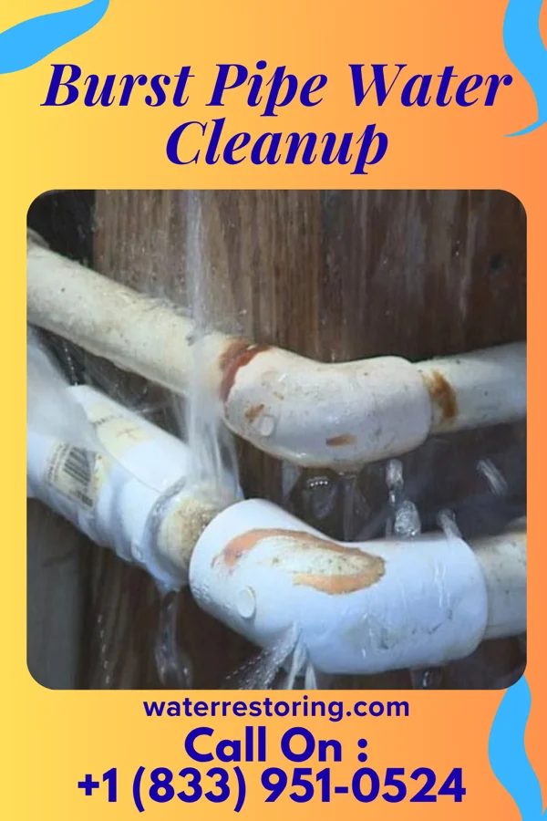Burst Pipe Water Cleanup in Clare, IA